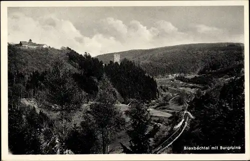 Ak Höhr Grenzhausen im Westerwaldkreis, Brexbachtal mit Burgruine