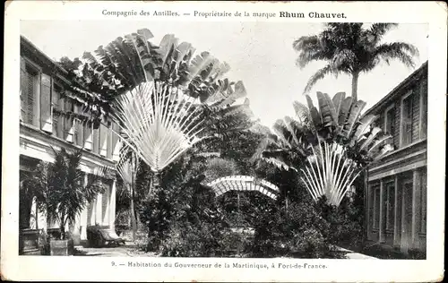 Ak Fort de France Martinique, Habitation du Gouverneur, Baum der Reisenden