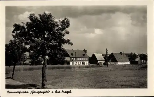 Ak Zinnwald Georgenfeld Altenberg im Erzgebirge, Sommerfrische Georgenfeld