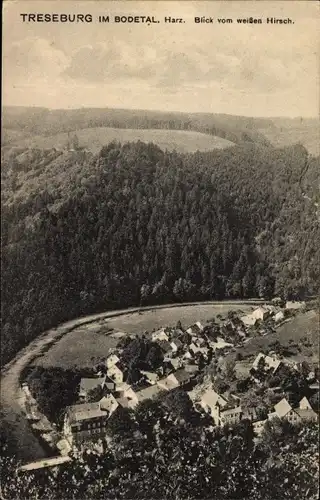Ak Treseburg Thale im Harz, Blick vom weißen Hirsch ins Bodetal, Ortschaft