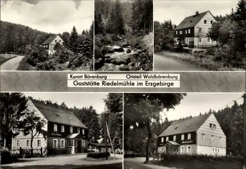 Ak Waldbärenburg Bärenburg Altenberg im Erzgebirge, Ansichten der Gaststätte Riedelmühle, Wald
