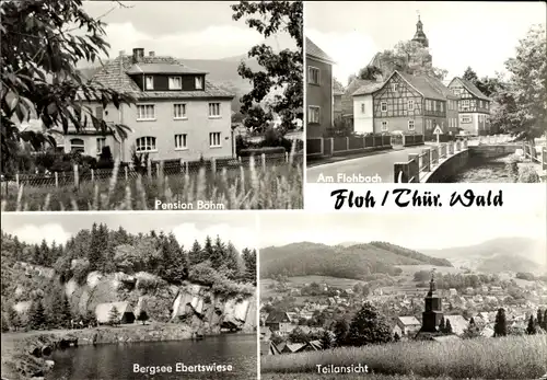 Ak Floh Seligenthal in Thüringen, Pension Böhm, Am Flohbach, Bergsee Ebertswiese, Panorama