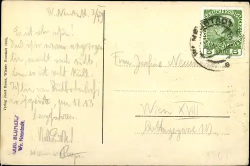 Ak Wiener Neustadt in Niederösterreich, Detailansicht