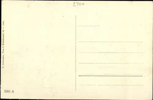 Ak Wiener Neustadt in Niederösterreich, Detailansicht