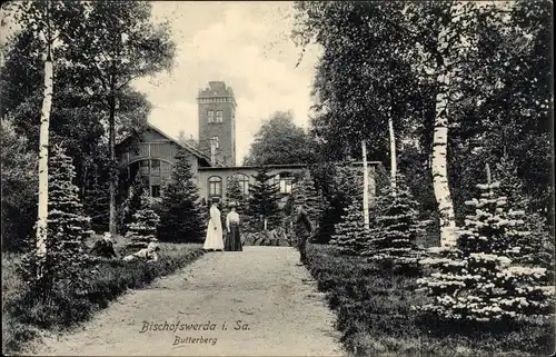 Ak Bischofswerda im Kreis Bautzen, Blick auf Butterberg, Auffahrt, Passanten