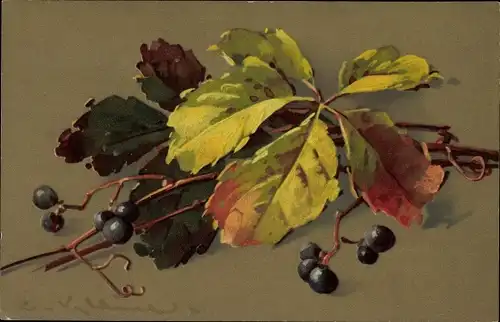 Künstler Ak Klein, Catharina, Wildbeeren mit Blättern, Meissner & Buch 1862, Herbstlaub