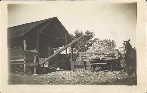 Foto Ak Spanholz auf einem Pferdekarren, Holzverarbeitung, Arbeitsgerät