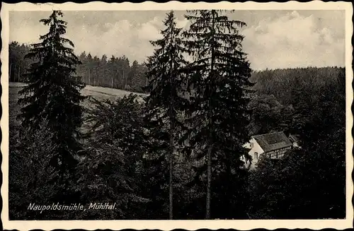 Ak Eisenberg im Saale Holzland Kreis, Waldpartie an der Naupoldsmühle, Inh. K. Lätsch