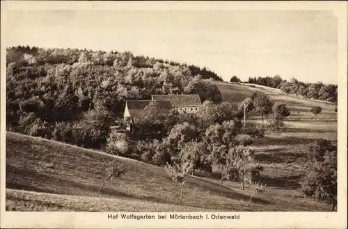 Ak Mörlenbach im Odenwald Hessen, Hof Wolfsgarten und Umgebung