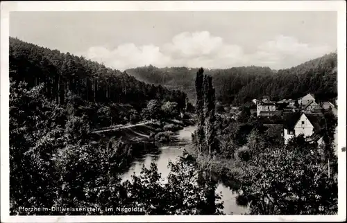 Ak Dillweißenstein Pforzheim im Schwarzwald Baden Württemberg, Partie im Nagoldtal