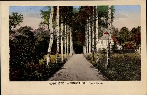 Ak Hohenstein Ernstthal Landkreis Zwickau, Blick auf das Forsthaus