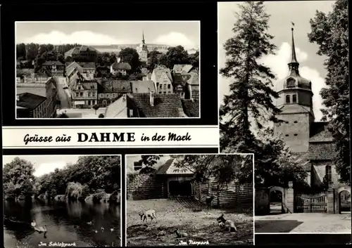 Ak Dahme in der Mark, Totalansicht der Ortschaft, Schlosspark, Tierpark, Rehe, Kirchturm