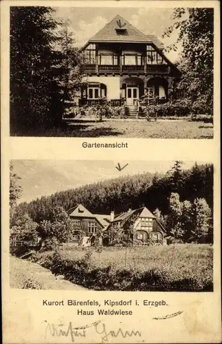 Ak Bärenfels Altenberg im Erzgebirge, Haus Waldwiese, Gartenansicht 