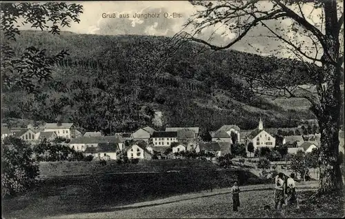 Ak Jungholtz Jungholz Elsass Haut Rhin, Panorama vom Ort