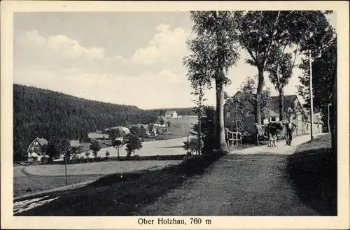 Ak Holzhau Rechenberg Bienenmühle Erzgebirge, Teilansicht vom Ort, Rinderkarren