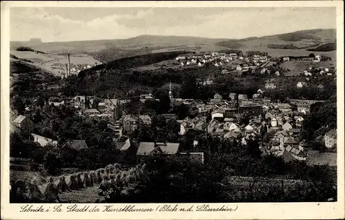 Ak Sebnitz in Sachsen, Blick auf Stadt und Lilienstein