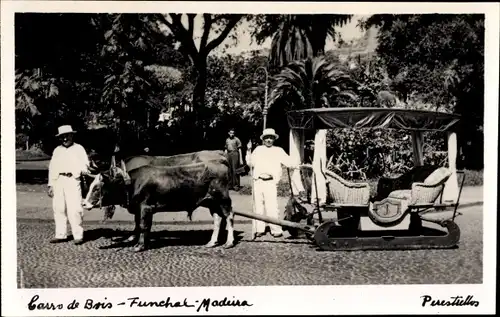 Ak Funchal Insel Madeira Portugal, Carro de Bois, Holzkarren, Rinderkarren auf Kufen