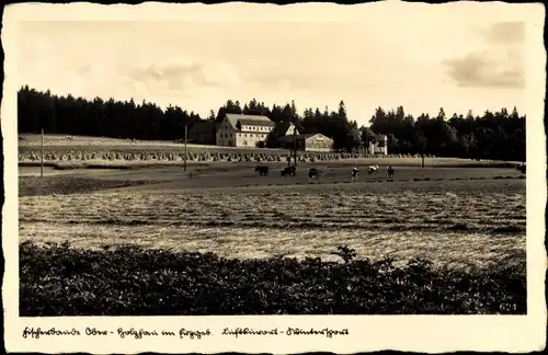 Ak Ober Holzhau Rechenberg Bienenmühle Erzgebirge, Felder bei der Fischerbaude, Strohgarben, Rinder