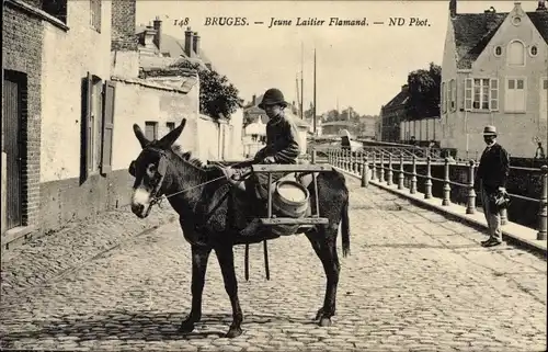Ak Bruges Brügge Flandern Westflandern, Jeune Laitier Flamand, Milchhändler auf einem Esel