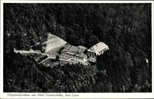 Ak Bad Essen in Niedersachsen, Fliegeraufnahme von Hotel Friedenshöhe, Wald