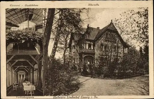 Ak Coswig in Sachsen, Heilstätte Lindenhof, Gärtnerei, Gewächshaus, Verbindungsgang, Albertvilla