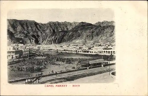 Ak Aden Jemen, Camel Market, Kamelmarkt, Panorama vom Ort