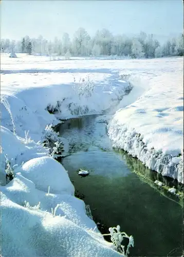 Ak Photo Löbl, Winterlandschaft, Wasserpartie, Hochschnee