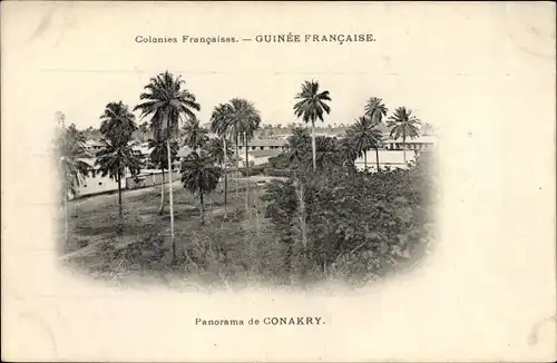 Ak Konakry Conakry Guinea, Panorama vom Ort, Palmen