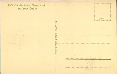 Ak Coswig in Sachsen, Heilstätte Lindenhof, Die alten Linden