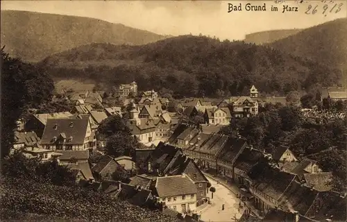 Ak Bad Grund im Harz, Blick auf den Ort mit Umgebung