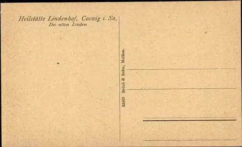 Ak Coswig in Sachsen, Heilstätte Lindenhof, Die alten Linden