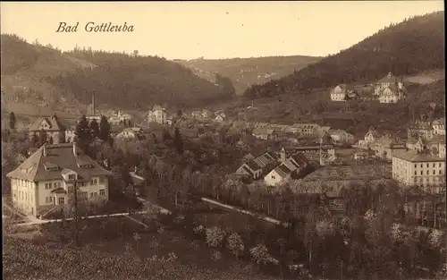 Ak Bad Gottleuba in Sachsen, Blick auf den Ort mit Umgebung