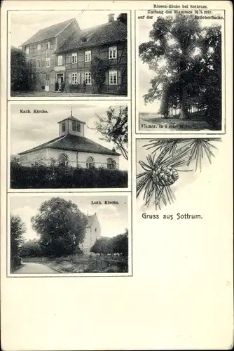 Ak Sottrum Holle in Niedersachsen, Gasthaus, Kath. und Luth. Kirche, Rieseneiche