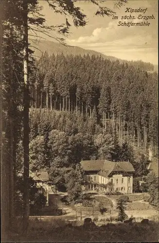 Ak Kipsdorf Altenberg im Erzgebirge, Blick auf die Schäfermühle, Wald