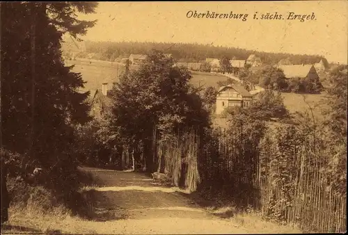 Ak Bärenburg Altenberg im Erzgebirge, Stadtansichten, Straßenpartie im Ort