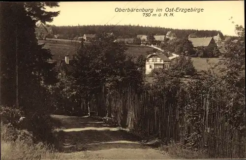 Ak Bärenburg Altenberg im Erzgebirge, Blick auf Ortschaft und Umgebung, Spazierweg