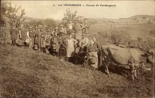 Ak Les Vendanges, Groupe de Vendangeurs, Winzer bei der Arbeit, Rinder