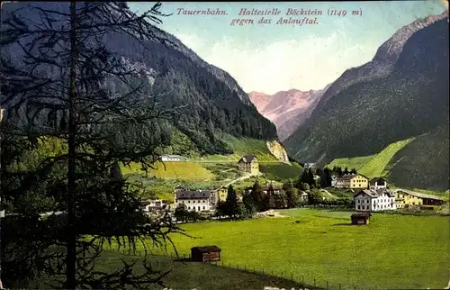 Ak Böckstein Bad Gastein im Gasteiner Tal Salzburg, schöne Detailansicht