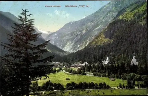 Ak Böckstein Bad Gastein im Gasteiner Tal Salzburg, schöne Detailansicht