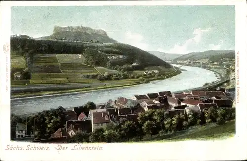 Ak Königstein an der Elbe, schöne Detailansicht