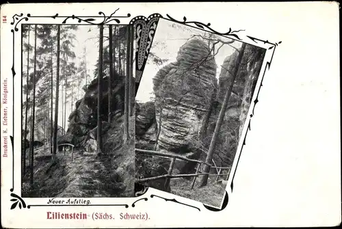 Ak Königstein an der Elbe, schöne Detailansicht