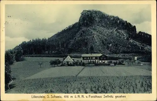 Ak Königstein an der Elbe, schöne Detailansicht