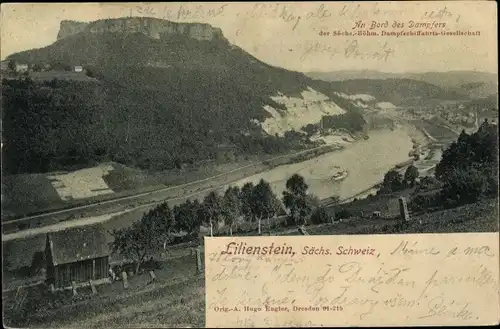 Ak Königstein an der Elbe, schöne Detailansicht