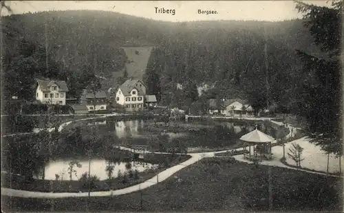 Ak Triberg im Schwarzwald, Blick auf den Bergsee, Stadtansicht