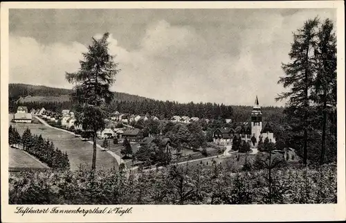 Ak Tannenbergsthal Muldenhammer im Vogtland, Panorama der Ortschaft und Umgebung
