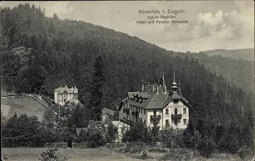 Ak Bärenfels Altenberg im Erzgebirge, Blick auf Hotel und Pension Kaiserhof umgeben vom Wald
