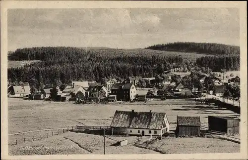 Ak Jägersgrün Muldenhammer im Vogtland, Blick auf Ortschaft und Umgebung