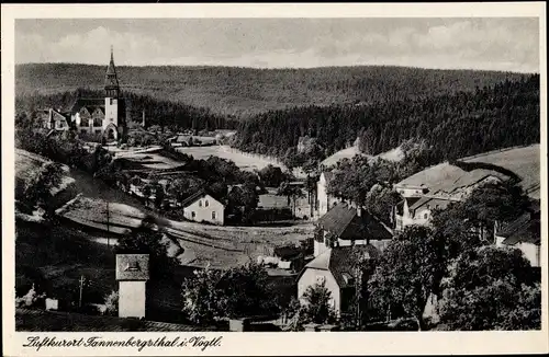 Ak Tannenbergsthal Muldenhammer im Vogtland, Panorama der Ortschaft und Umgebung