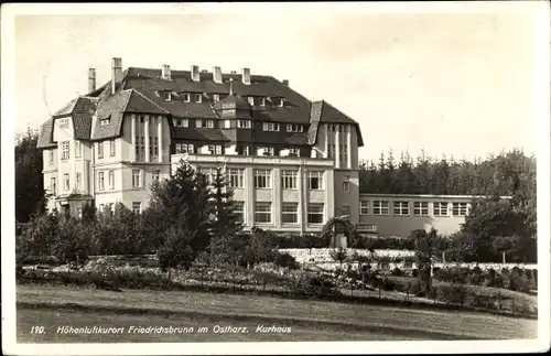 Ak Friedrichsbrunn Thale im Harz, schöne Detailansicht