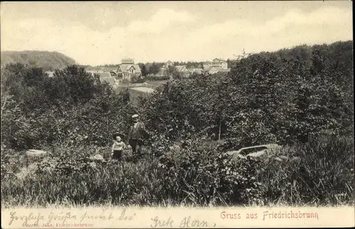 Ak Friedrichsbrunn Thale im Harz, schöne Detailansicht